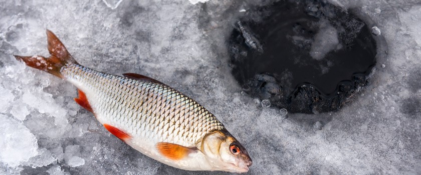 Zimowa dieta. Co jeść, a czego unikać?
