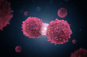 Komórki nowotoworowe