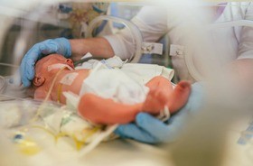 noworodek w inkubatorze