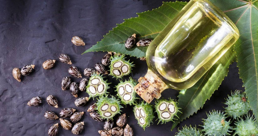 olej rycynowy w butelce i nasiona rącznika pospolitego