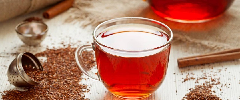 Rooibos – dlaczego warto pić herbatę z czerwonokrzewu?