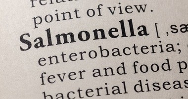 Jakie choroby mogą wywołać bakterie Salmonella? W jaki sposób dochodzi do zakażenia?