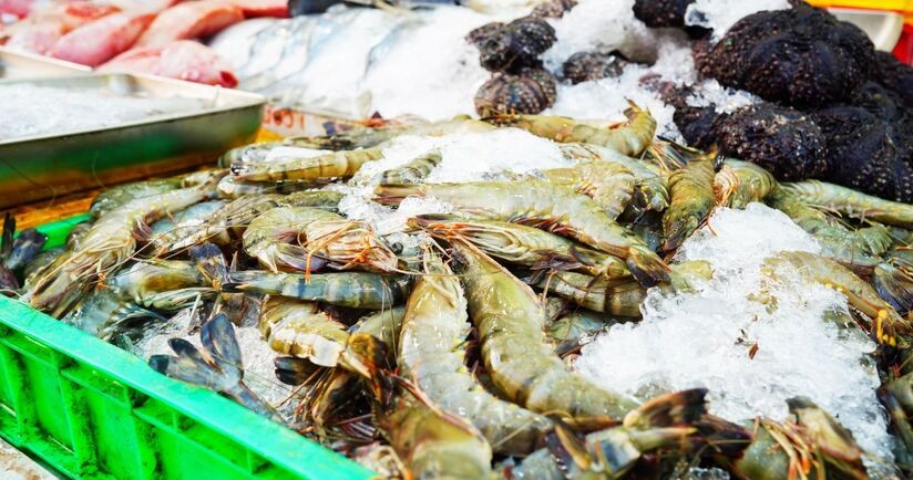 świeże skorupiaki, wirus CMNV, nodawirus