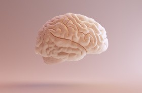 Krążenie mózgowe – jak poprawić słabe krążenie krwi w mózgu?