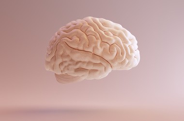 mózg i krążenie