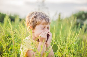 Alergia wziewna &#8211; co trzeba o niej wiedzieć?
