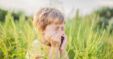 Alergia wziewna – co trzeba o niej wiedzieć?