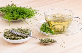 Skrzyp polny – sprzymierzeniec pięknych włosów