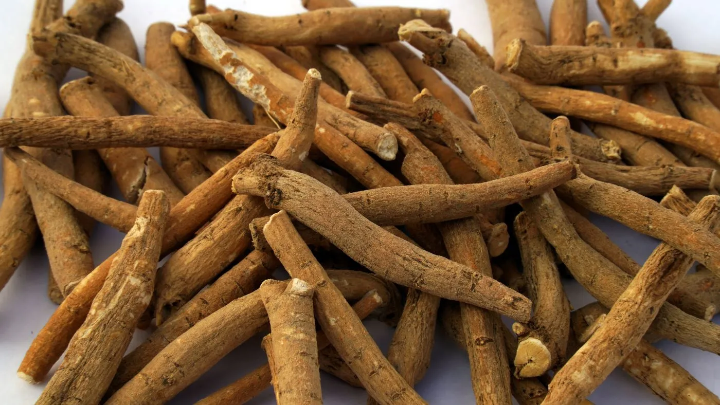 ashwagandha, jak wygląda korzeń ashwagandhy, adaptogen