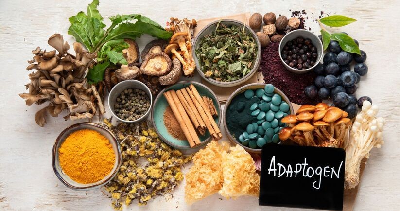 Adaptogeny w formie roślin, grzybów. 