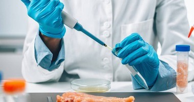 mikrobiolog testuje żywność na obecność Salmonelli