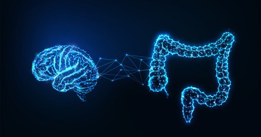 Grafika obrazująca połączenie mózg-jelita, czyli oś mózg-jelita