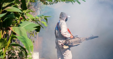 Prewencyjna walka z komarami odpowiedzialnymi za gorączkę denga