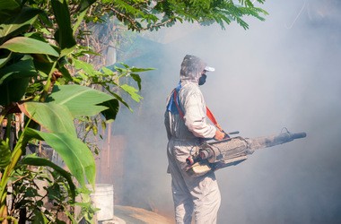 Prewencyjna walka z komarami odpowiedzialnymi za gorączkę denga
