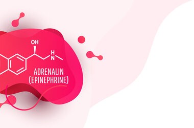 Adrenalina – jaka jest funkcja w organizmie? Czym skutkuje nadmierna ekspozycja na działanie hormonu?
