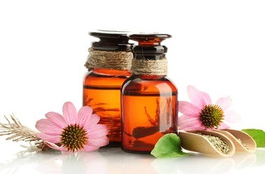 Echinacea – działanie, rodzaje i zastosowanie. Wpływ jeżówki na odporność  i zwalczanie przeziębienia