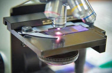 Biopsja mięśnia – co to za badanie i jak przebiega? Rodzaje, wskazania i powikłania