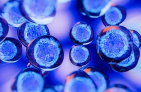 Komórki macierzyste – jak się je pozyskuje i w jaki sposób można je wykorzystać?