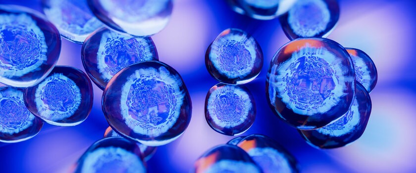 Komórki macierzyste – jak się je pozyskuje i w jaki sposób można je wykorzystać?