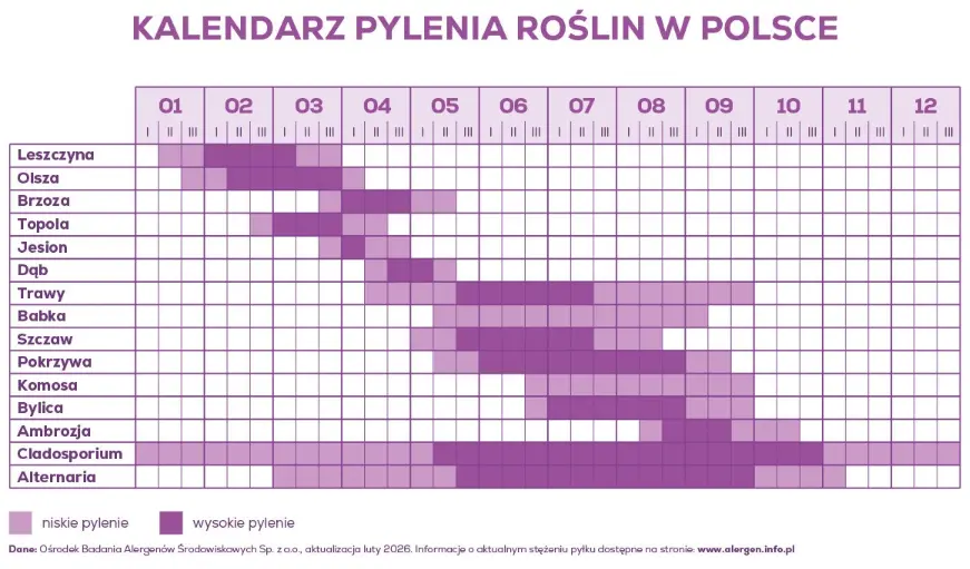 kalendarz pylenia, kalendarz pylenia 2026
