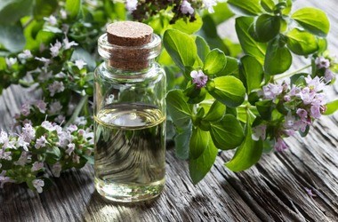 Karwakrol – właściwości i zastosowanie. Gdzie można go znaleźć?