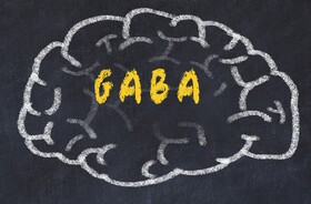 Grafika mózg i napis GABA