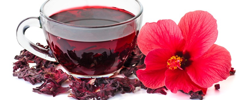 Hibiskus &#8211; skład, właściwości, zastosowanie i herbata z kwiatu hibiskusa