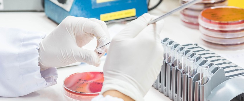 Nowy typ antybiotyków nie wywołuje oporności bakteryjnej