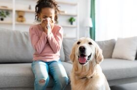 alergia, alergia na pyłki, alergia wziewna, wiosenna alergia, reakcja alergiczna
