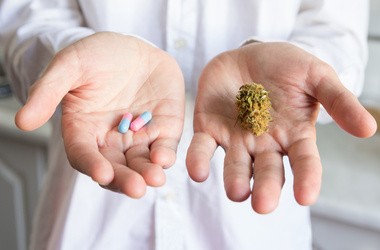 Szansa na bezpieczne środki przeciwbólowe na bazie marihuany