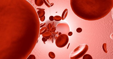 Jakie są grupy i rodzaje krwi?