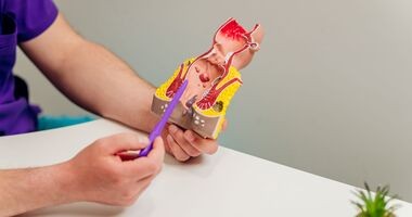 Medyk trzymający model odbytu, najczęstsze choroby odbytu.