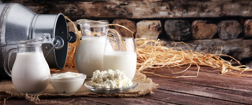 Produkty mleczne - zalecane w diecie antyhistaminowej