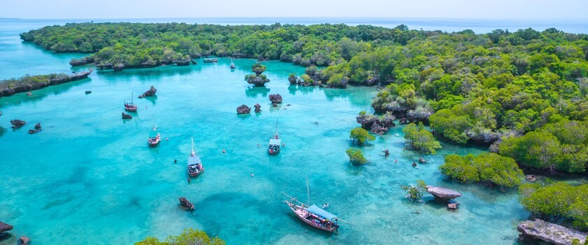 Zanzibar, jakie szczepienia na Zanzibar, choroby na Zanzibarze, zalecenia przed wyjazdem na Zanzibar