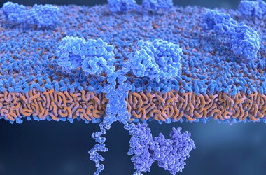 Burza cytokinowa w Covid-19: dlaczego jest groźna dla życia i jak z nią walczyć?