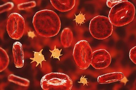 Krwinki krwi w zakrzepowej plamicy małopłytkowej