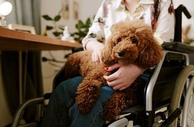 Kobieta z psem na kolanach, dogoterapia, jak wygląda dogoterapia