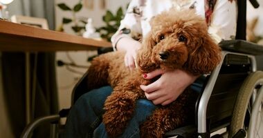 Kobieta z psem na kolanach, dogoterapia, jak wygląda dogoterapia