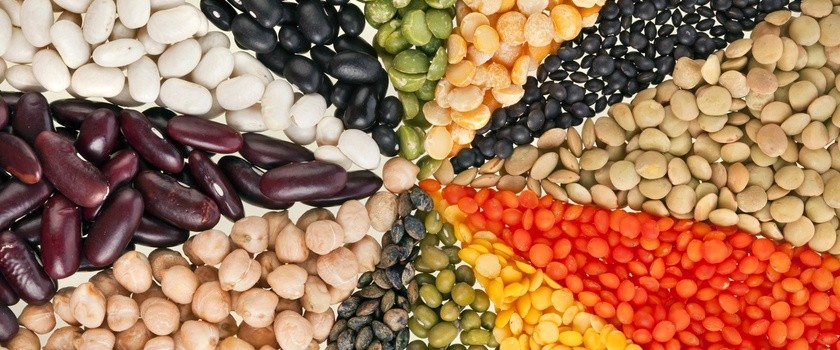 Myślisz o diecie proteinowej? Dowiedz się więcej o białku w diecie