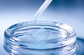 peptyd miedziowy, peptyd miedzi, serum z peptydami miedzi, kosmetyki z peptydami miedzi