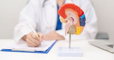 model mózgu, rozpoznanie udaru mózgu, test FAST