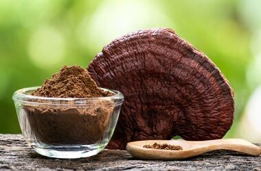 grzyby funkcjonalne, grzyby adaptogenne, reishi