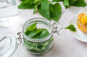 pokrzywa na włosy, ekstrakt z pokrzywy,  szampon z pokrzywą