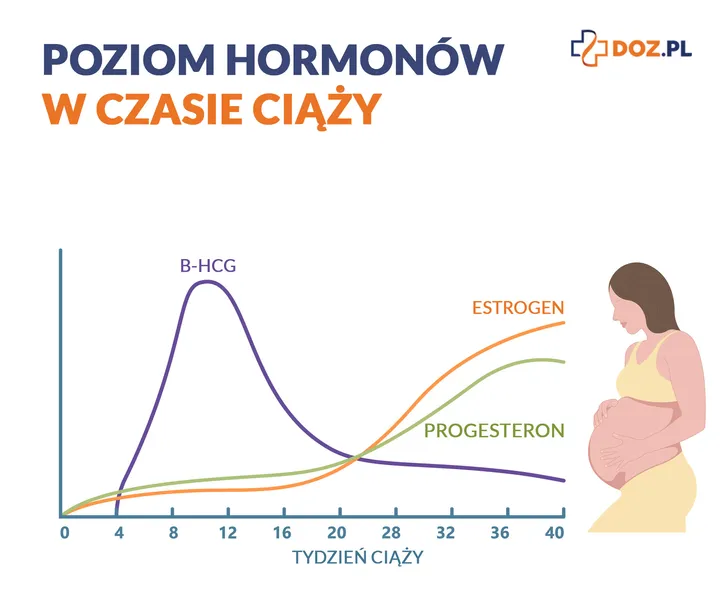 Poziom hormonów w ciąży