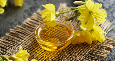 olej z wiesiołka, wiesiołek, Oenothera biennis oil
