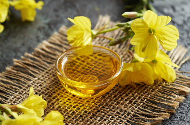 olej z wiesiołka, wiesiołek, Oenothera biennis oil