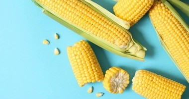 Kukurydza – charakterystyka, wartości odżywcze i właściwości. Zdrowe przepisy z kukurydzą