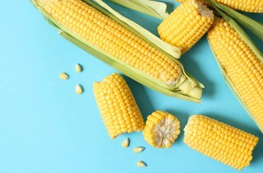 Kukurydza – charakterystyka, wartości odżywcze i właściwości. Zdrowe przepisy z kukurydzą
