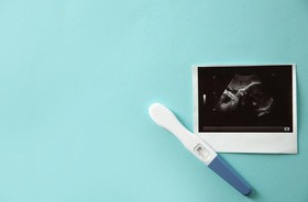 6. tydzień ciąży – wielkość i wygląd zarodka