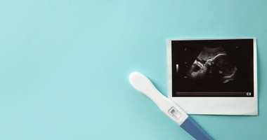 6. tydzień ciąży – wielkość i wygląd zarodka